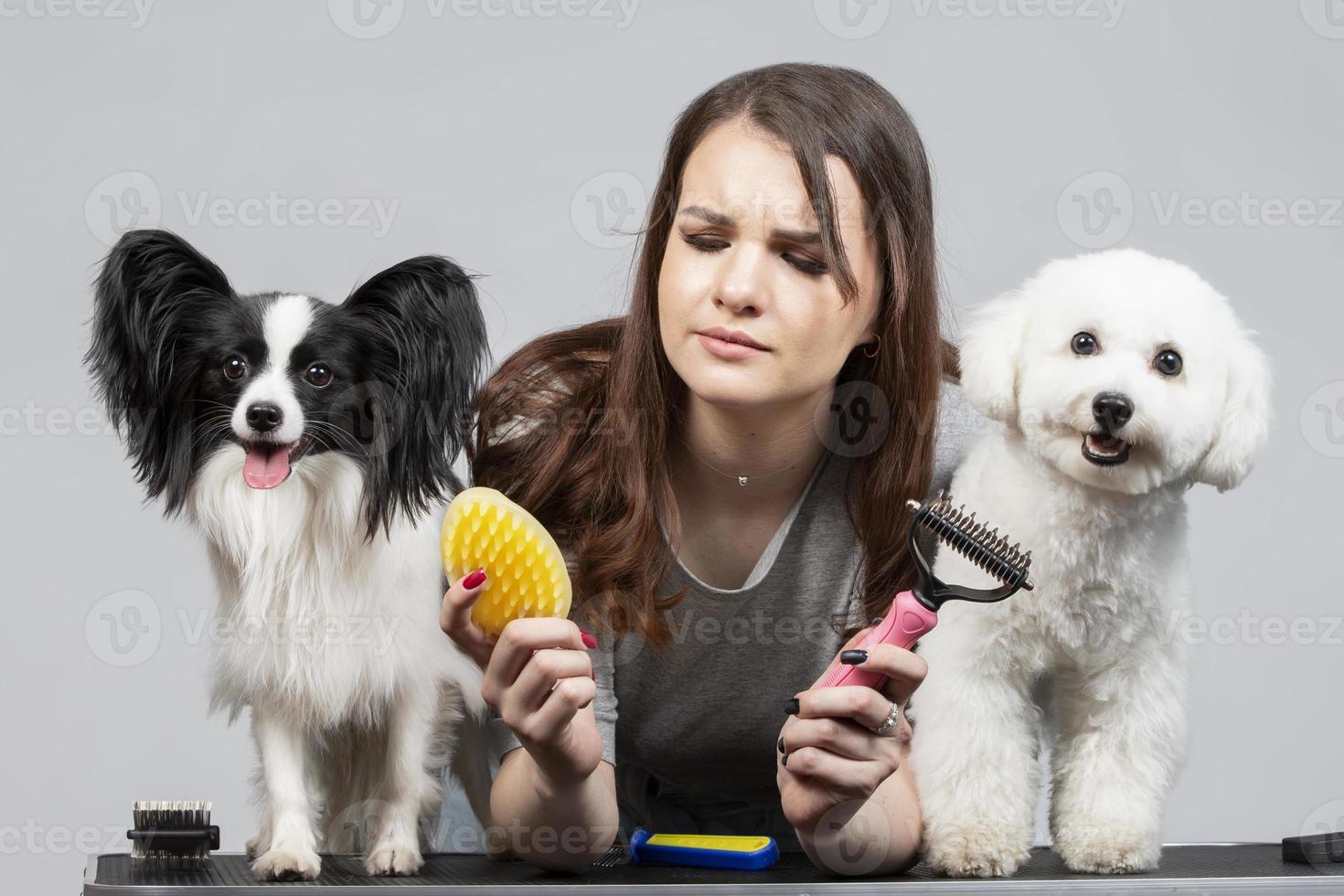 Jeune professionnel toiletteur avec animaux domestiques. elle est posant avec un instrument. papillon et bichon chien avec coiffeur fille. photo