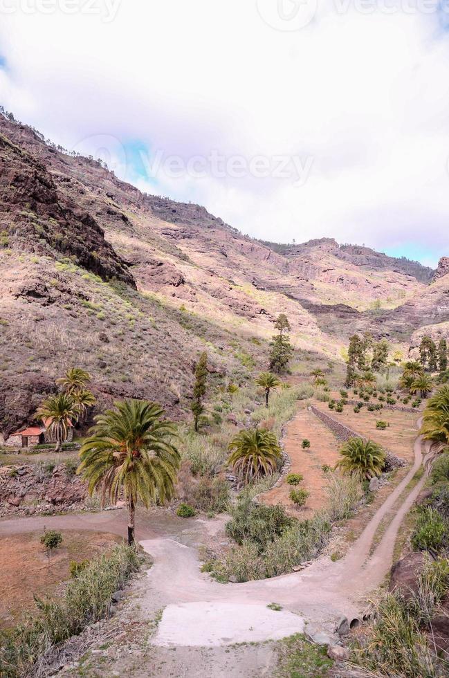 paysage au maroc photo