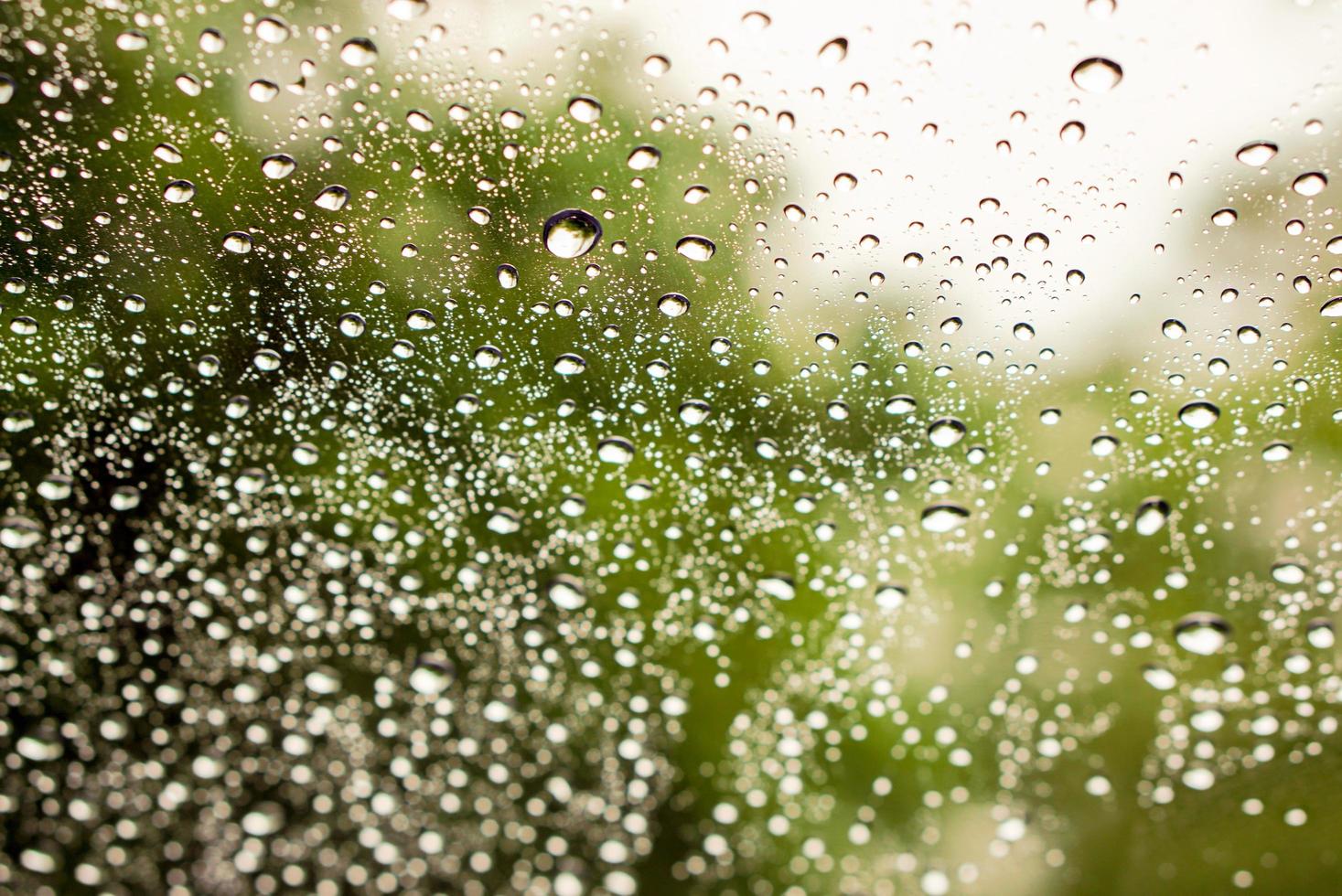 fermer et surgir pluie laissez tomber sur verre et floue vert les plantes Contexte photo