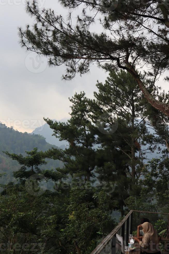 cool et Frais Naturel paysage avec des arbres pendant le journée pijar jardin photo