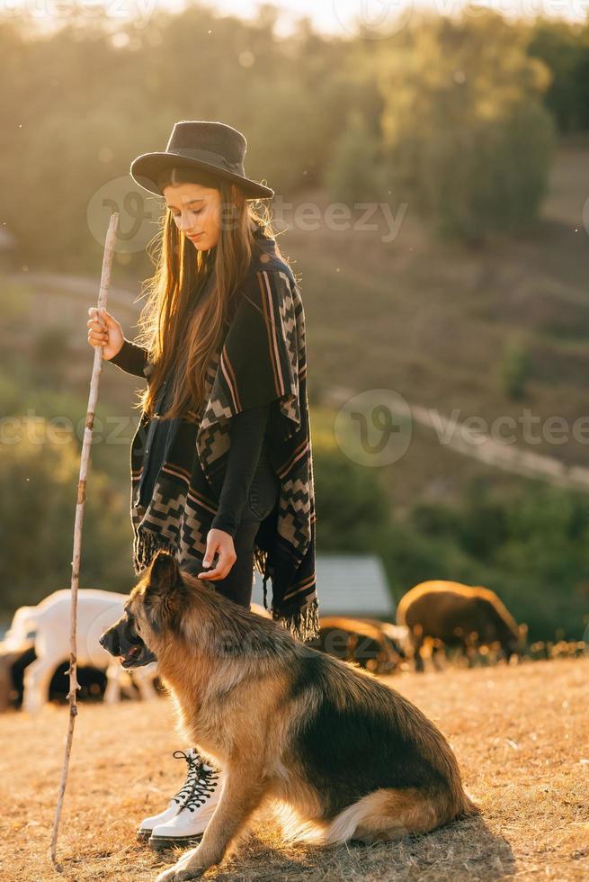 Berger femelle avec un chien broute un troupeau sur la pelouse photo