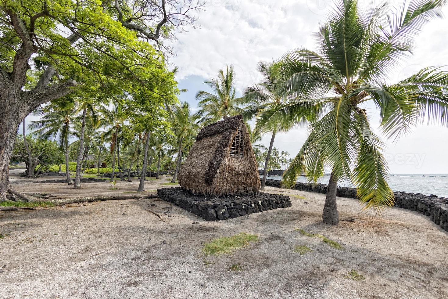 cabane hawaïenne sur la plage photo