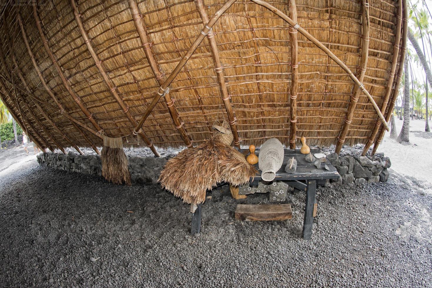 cabane hawaïenne sur la plage photo