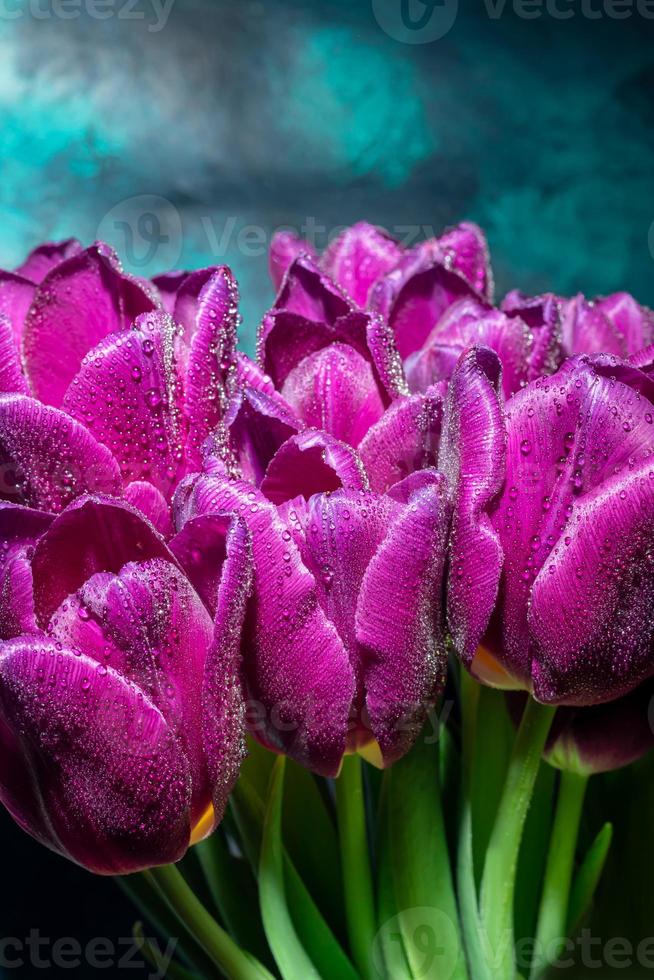 bouquet de tulipes pour le vacances. aux femmes jour, la Saint-Valentin jour, Nom journée. sur une foncé Contexte avec réflexion. photo