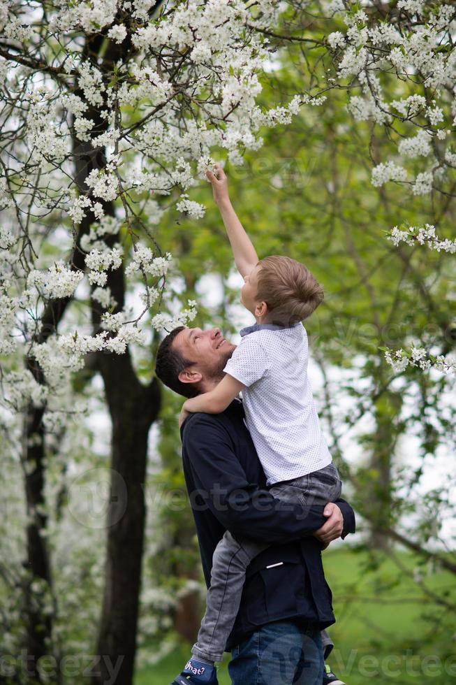 le garçon est séance dans papa bras et atteindre en haut à une floraison arbre photo