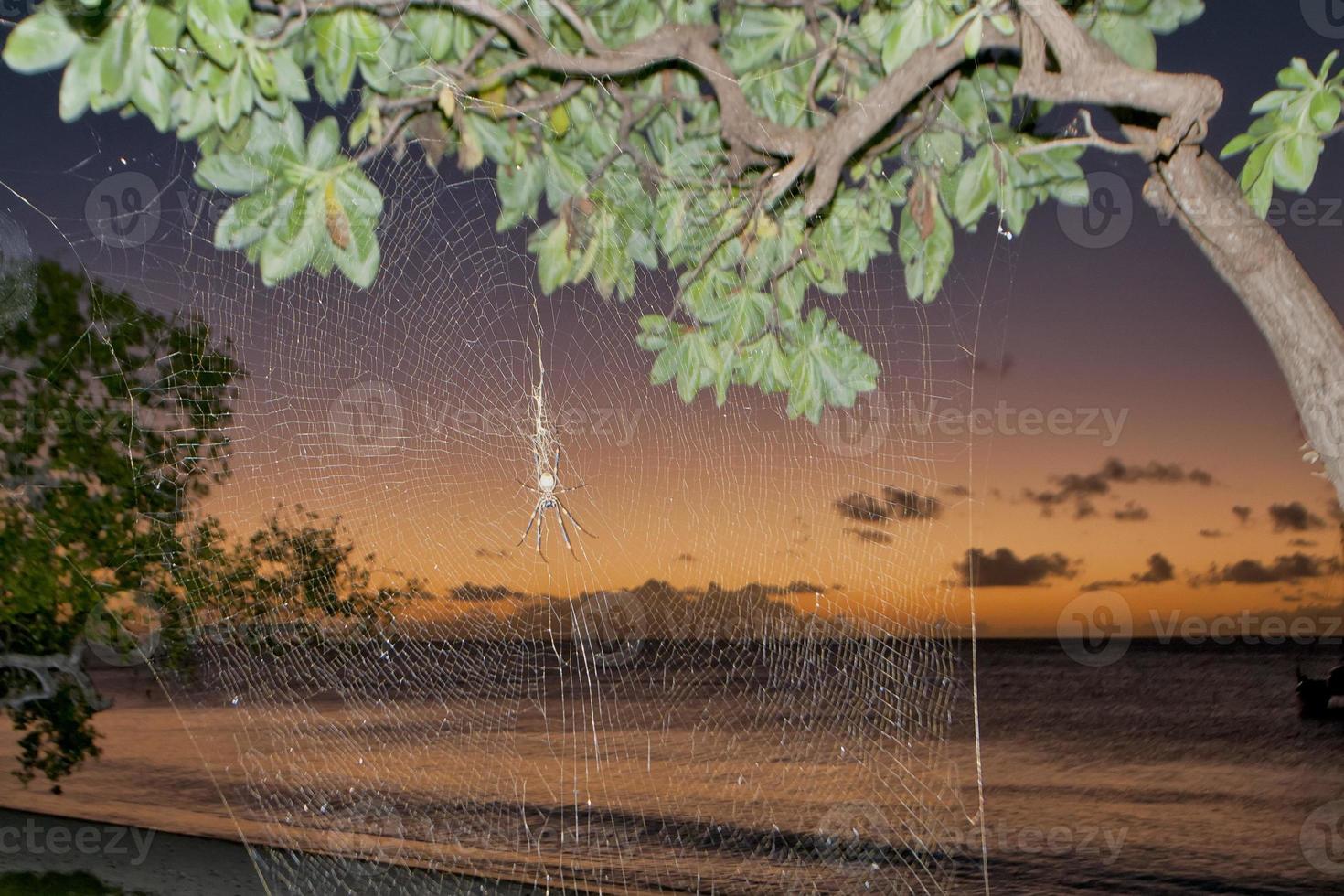 un magnifique coucher de soleil sur la plage de sable paradisiaque photo