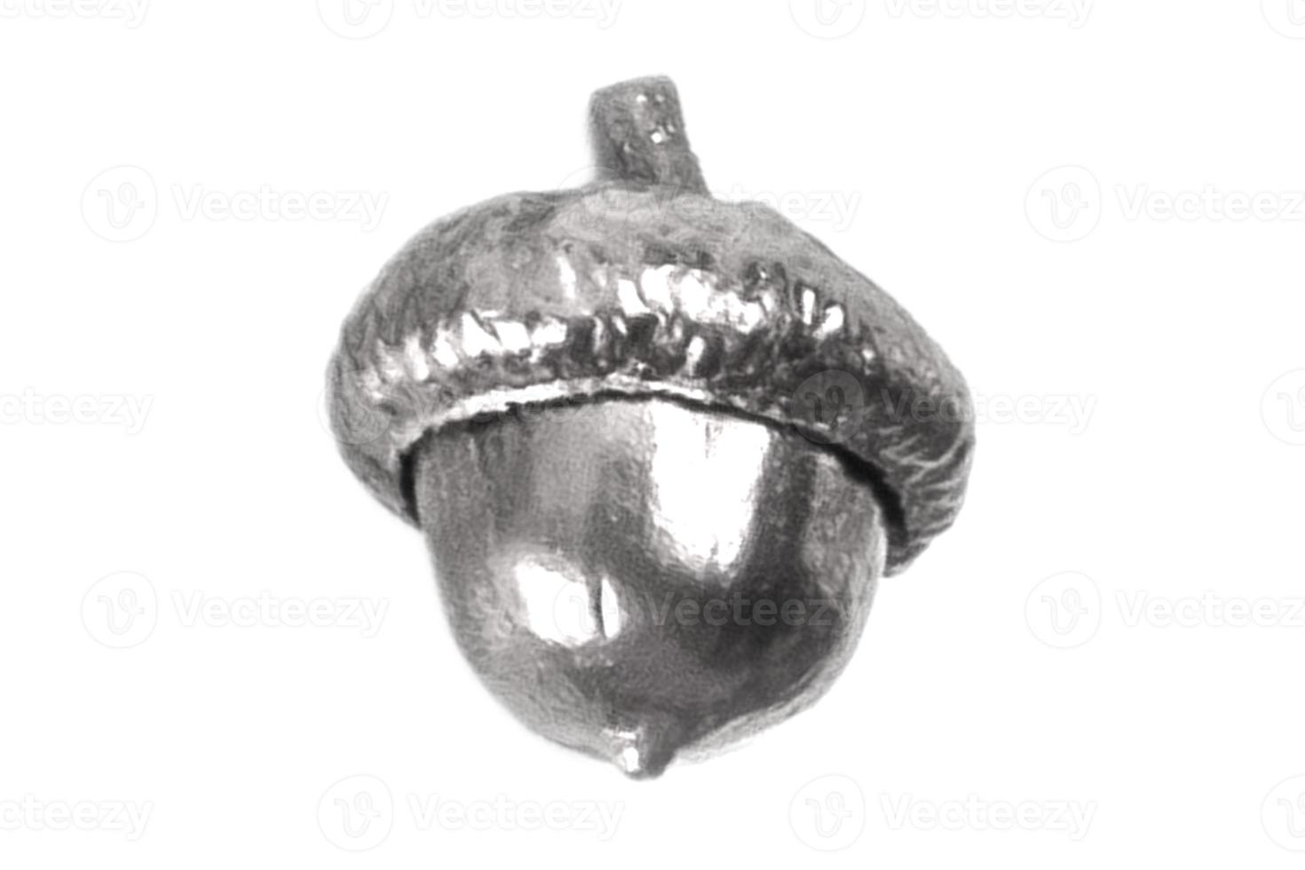 4204 argent gland isolé sur une transparent Contexte photo