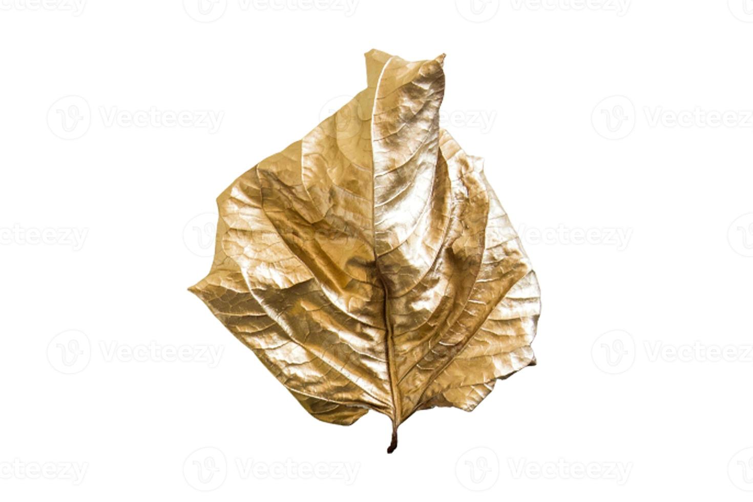 978 d'or feuille arbre isolé sur une transparent Contexte photo