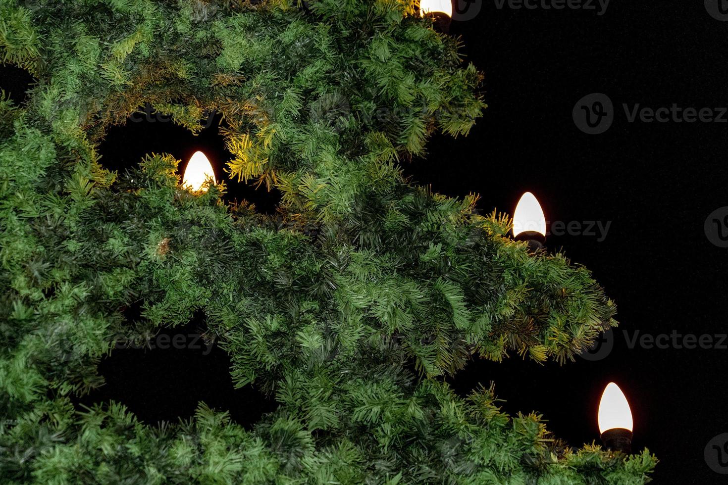 Noël décoré arbre dans agiter Allemagne bavarois médiéval ville nuit vue dans décembre photo