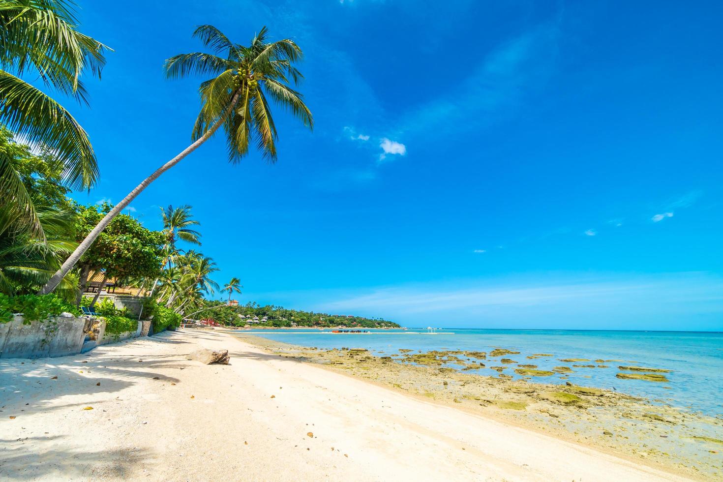 belle plage tropicale photo