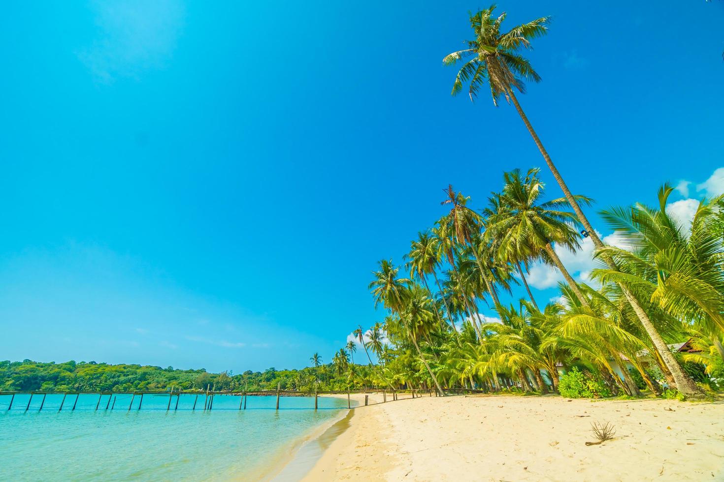 belle plage tropicale photo