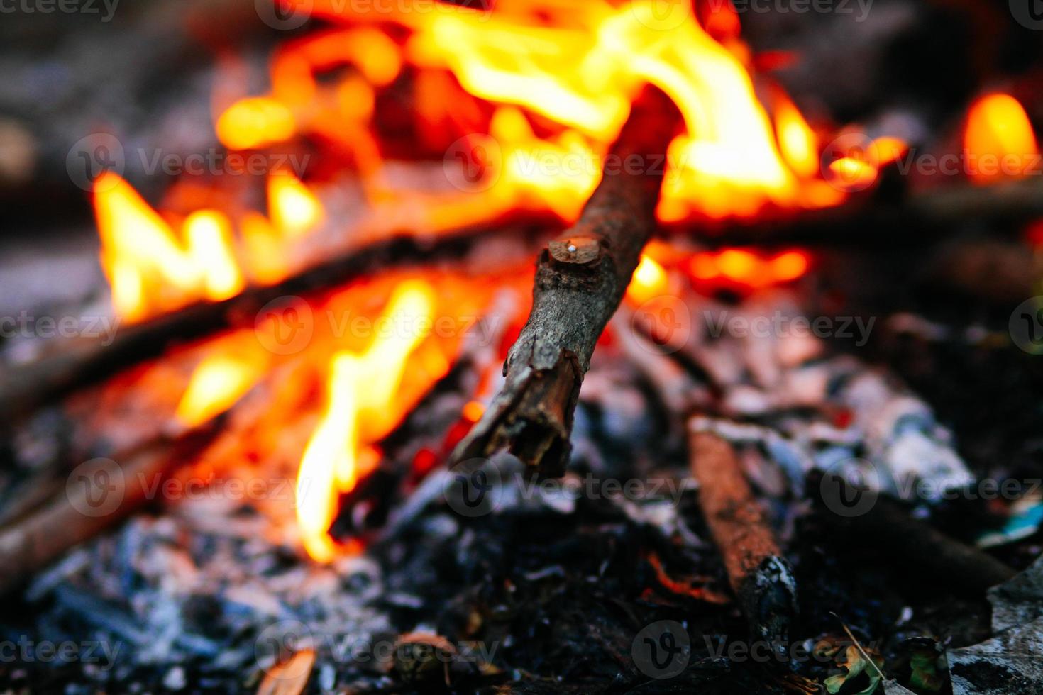 feu dans hiver , brûlant Feu contre le du froid Matin vent. photo