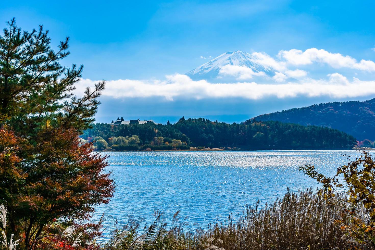 mt. Fuji au Japon en automne photo