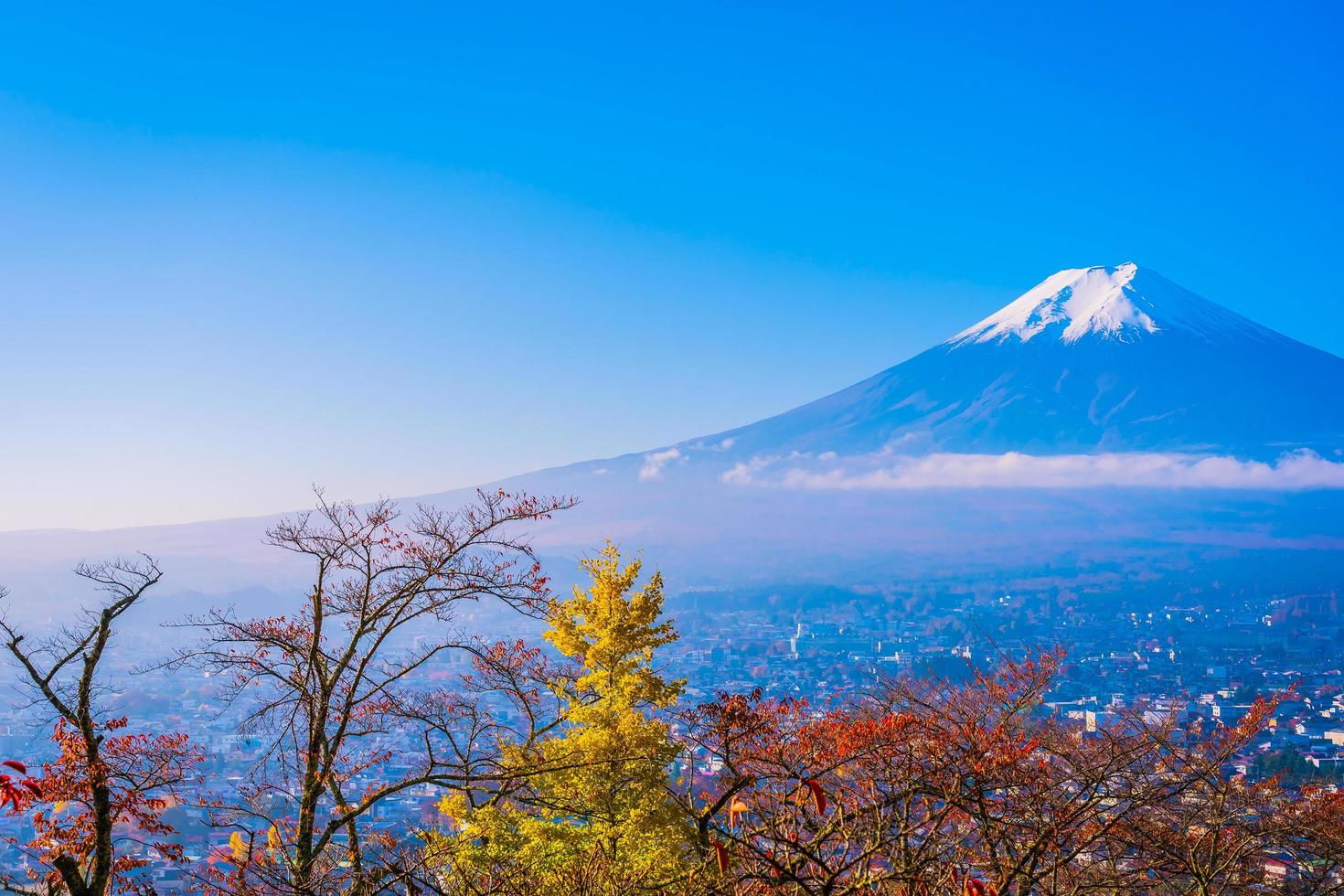 mt. Fuji au Japon en automne photo