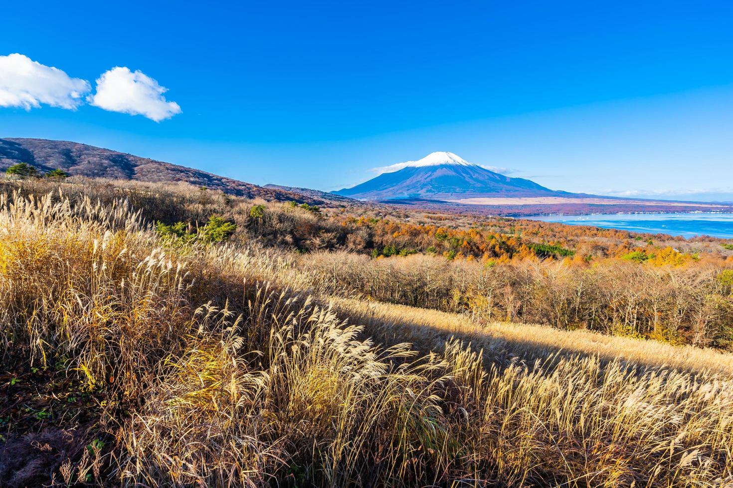 Mont Fuji au lac Yamanakako ou Yamanaka au Japon photo