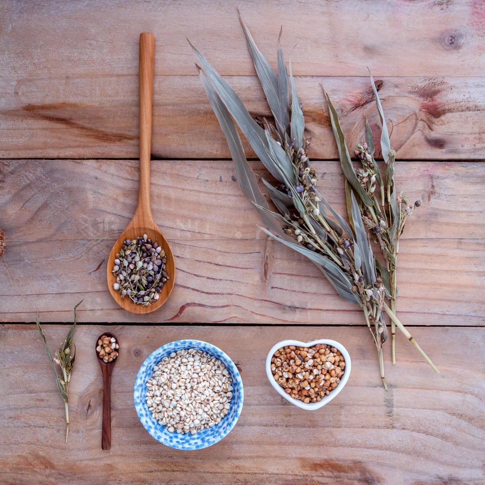 grains entiers et épis de millet photo