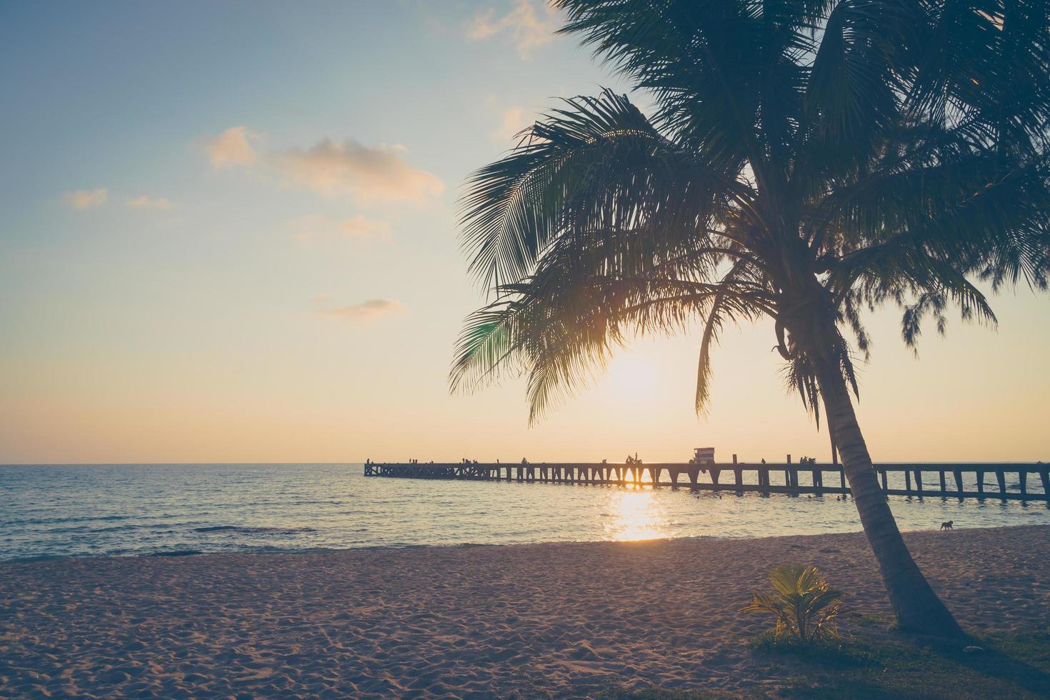 coucher de soleil sur la plage photo