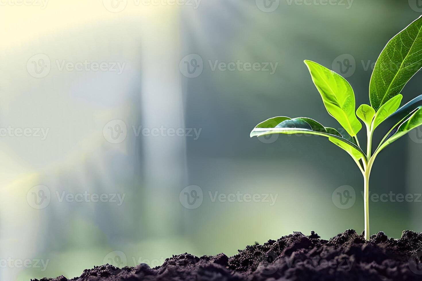 Jeune légume intérieur croissance à le sol et certains négatif espace. photo