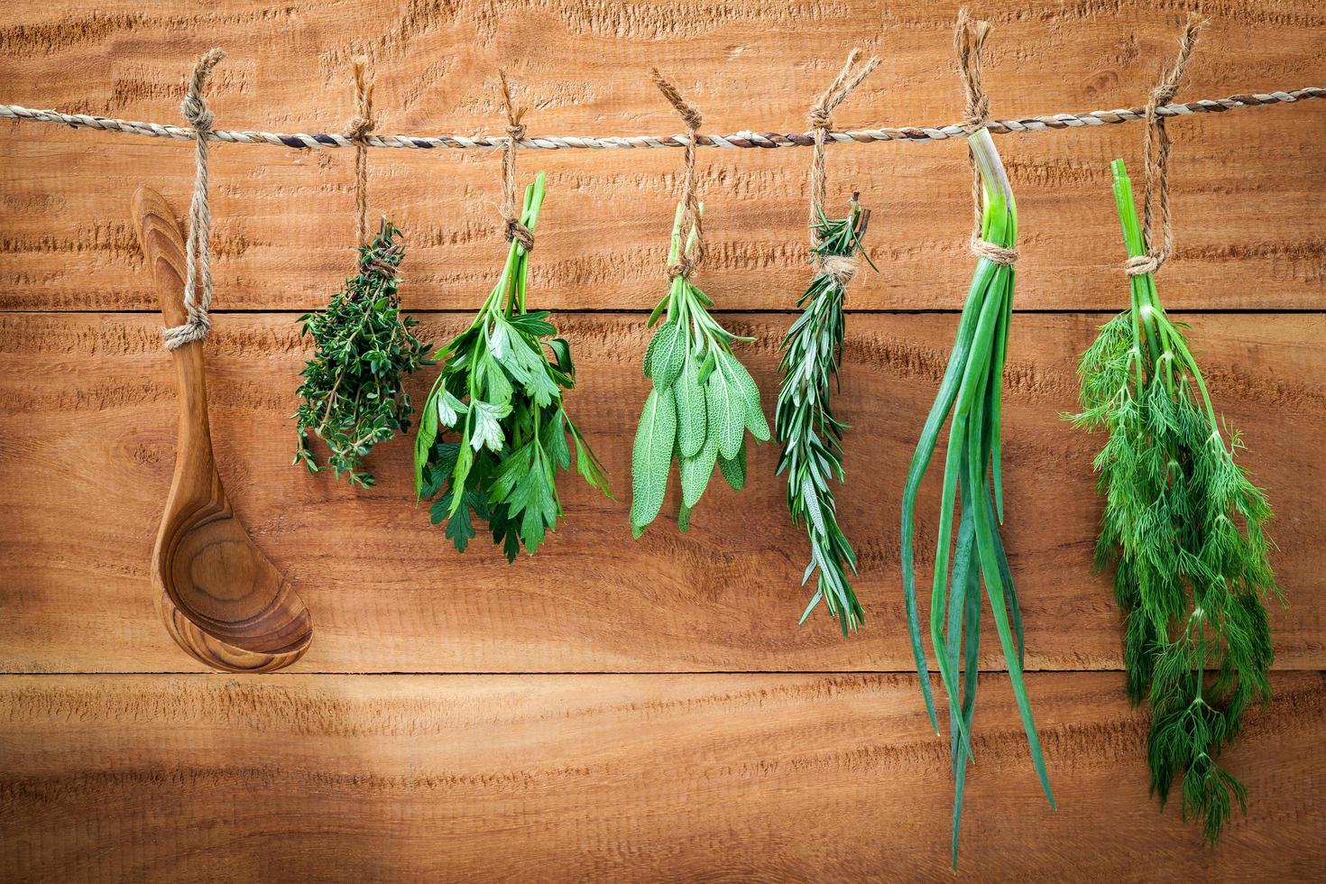 herbes suspendues pour sécher photo