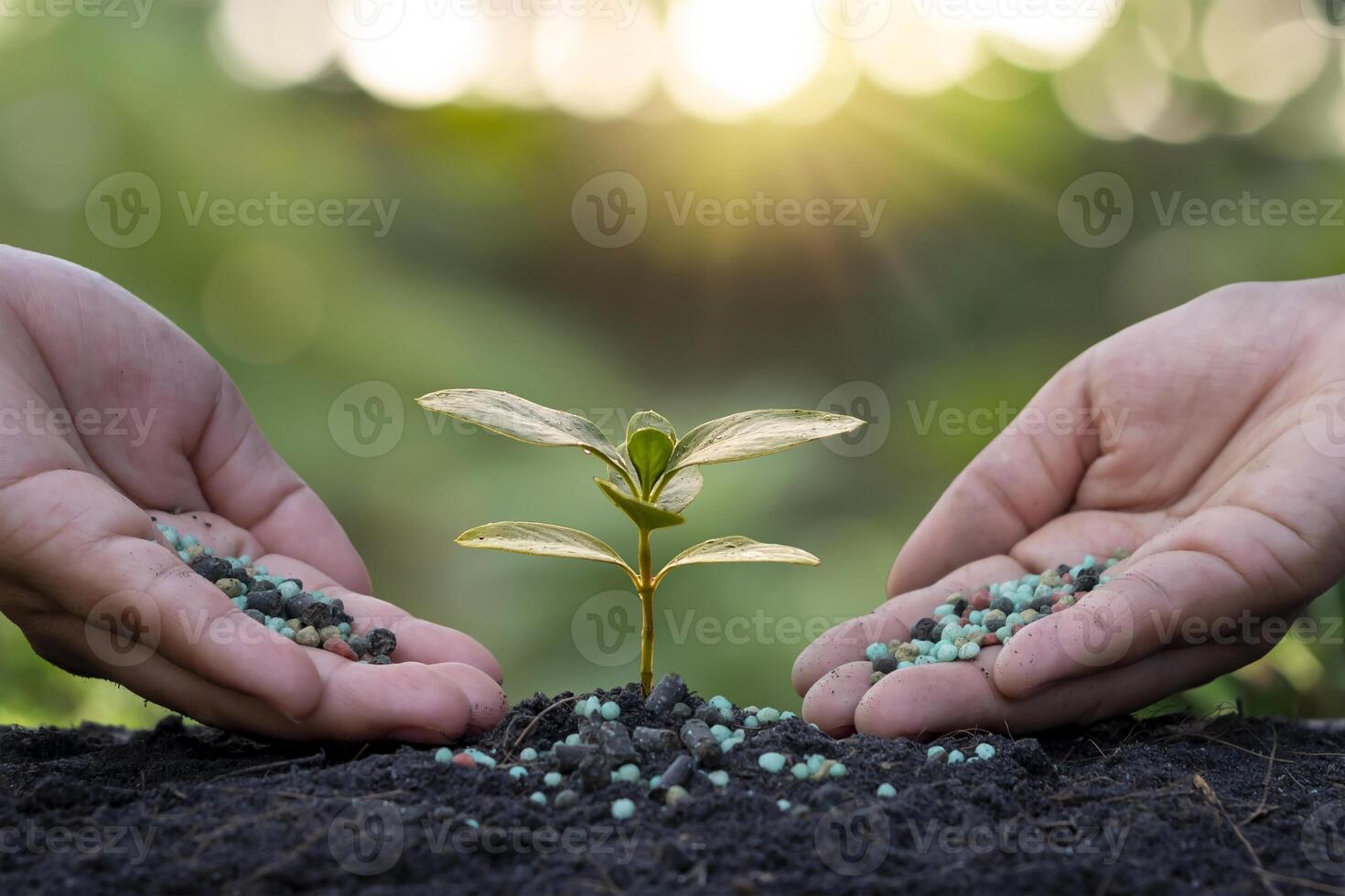 Fond Croissance En Action Main Tenant Une Pousse Plantée Dans Le Sol En  Illustration 3d Fond, Plante à La Main, Arbre à Main, Planter Un Arbre  Image de Fond Pour le Téléchargement