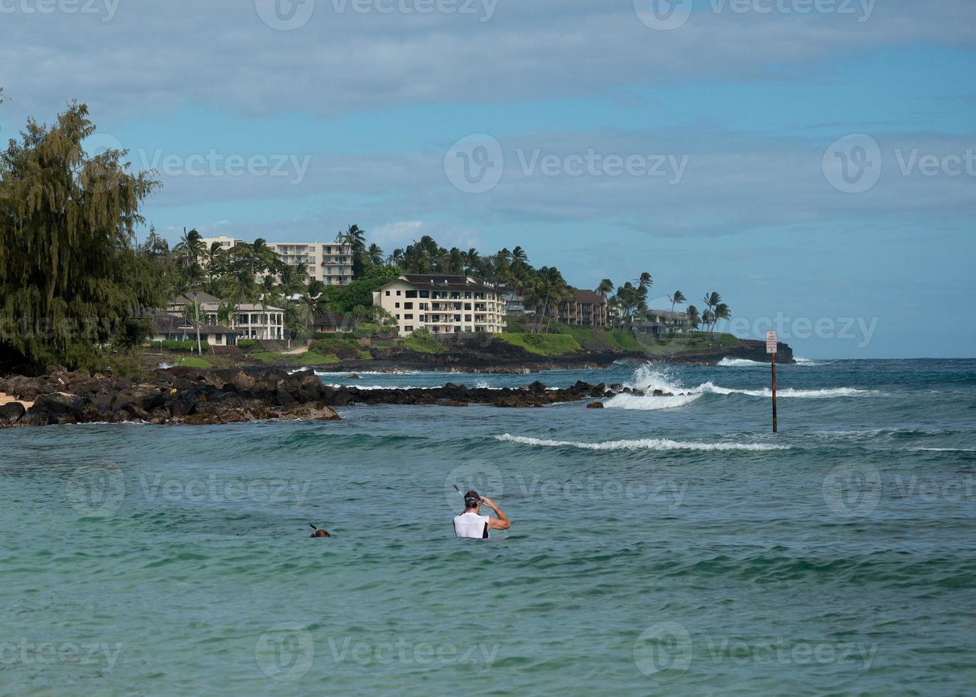 vagues de l'océan pacifique sur le rivage photo