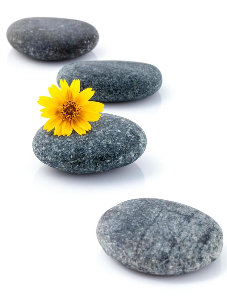 des pierres et une fleur photo