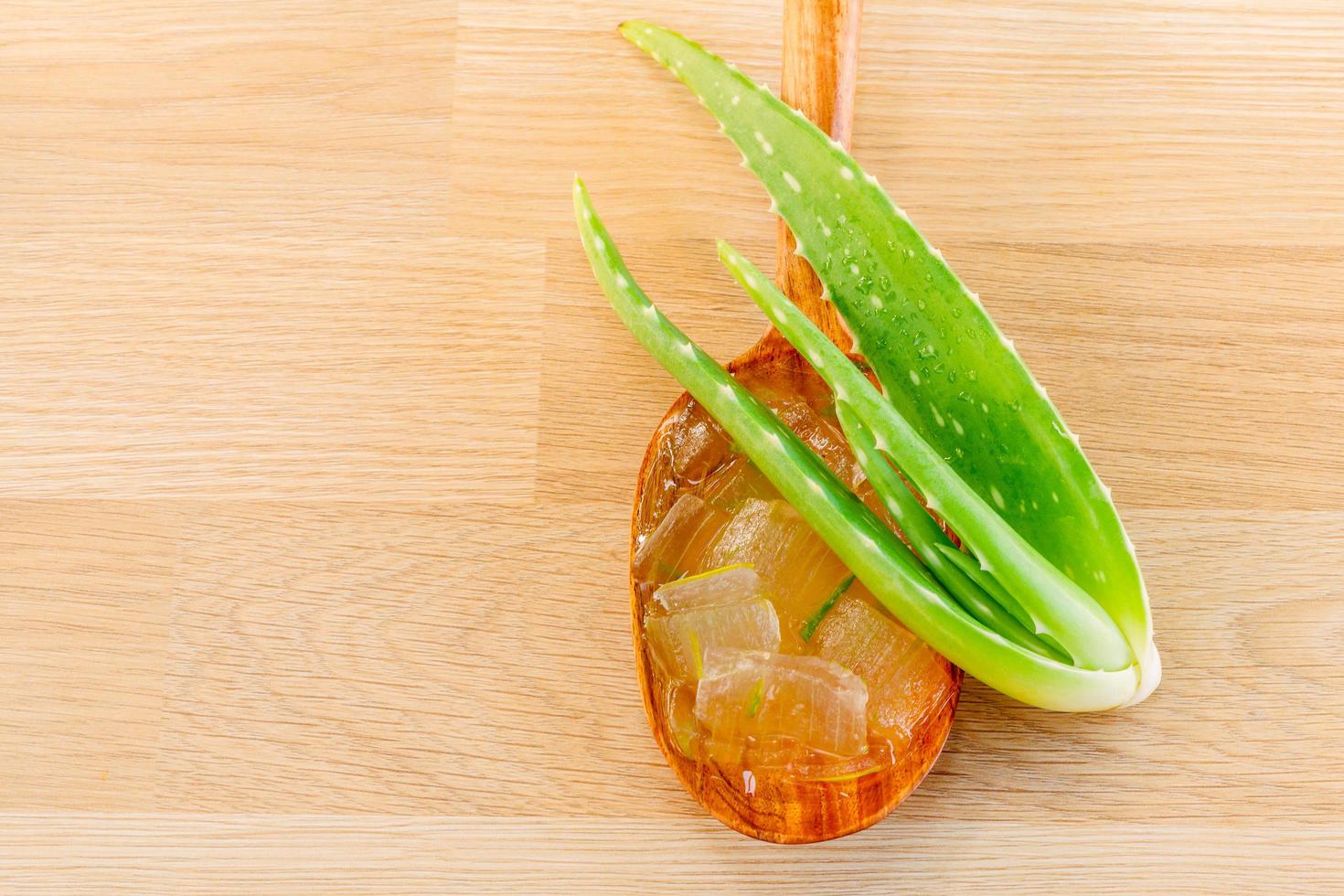 aloe vera et gel sur une cuillère photo