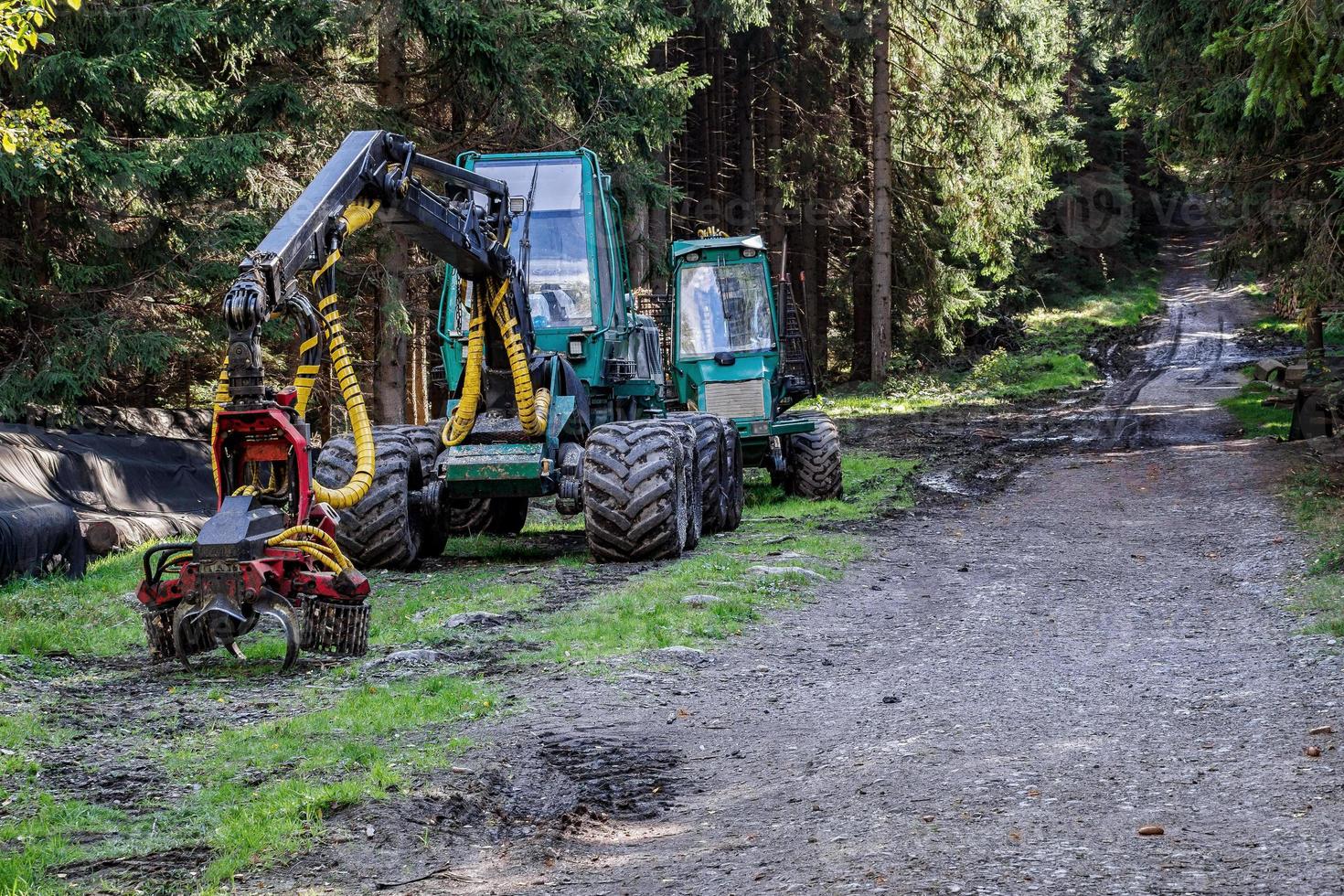 à roues moissonneuse pour arbre récolte dans forêt. photo