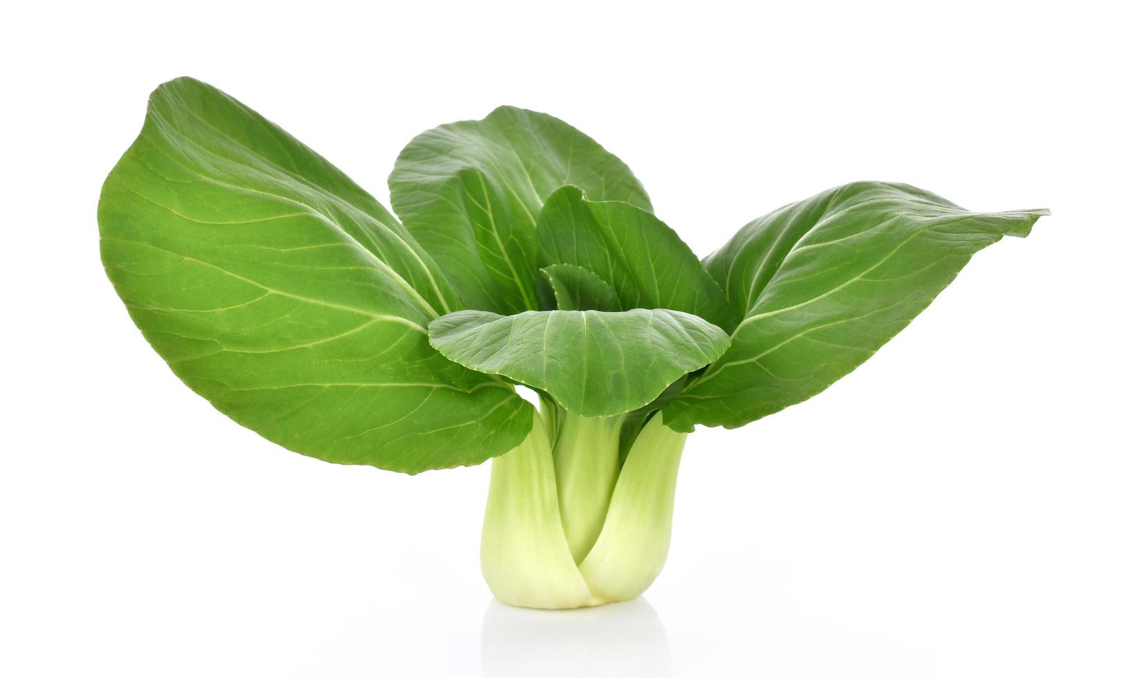 Chou chinois bok choy sur fond blanc photo