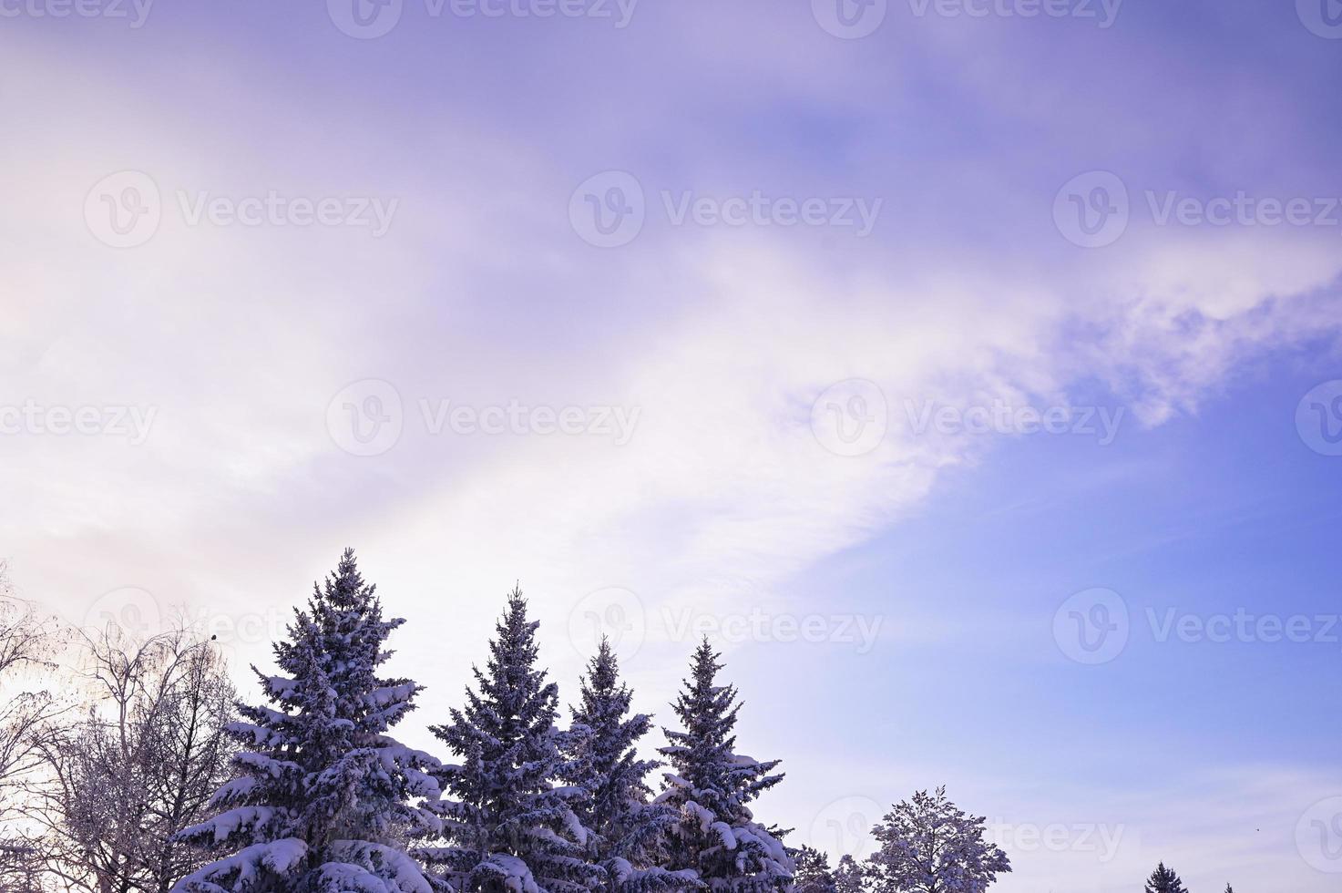 une congelé peu lac. la glace sur le étang dans ensoleillé temps. une ensoleillé hiver journée photo