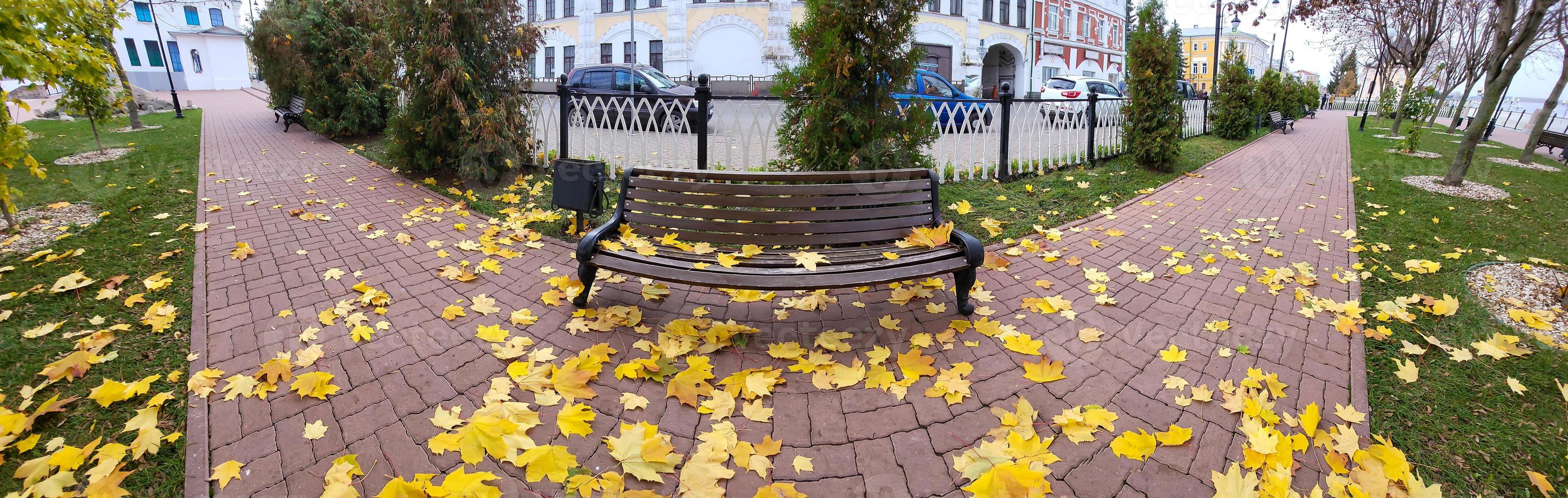 panorama de une en bois banc dans le parc et l'automne Jaune érable feuilles sur le rouge jardin chemin photo