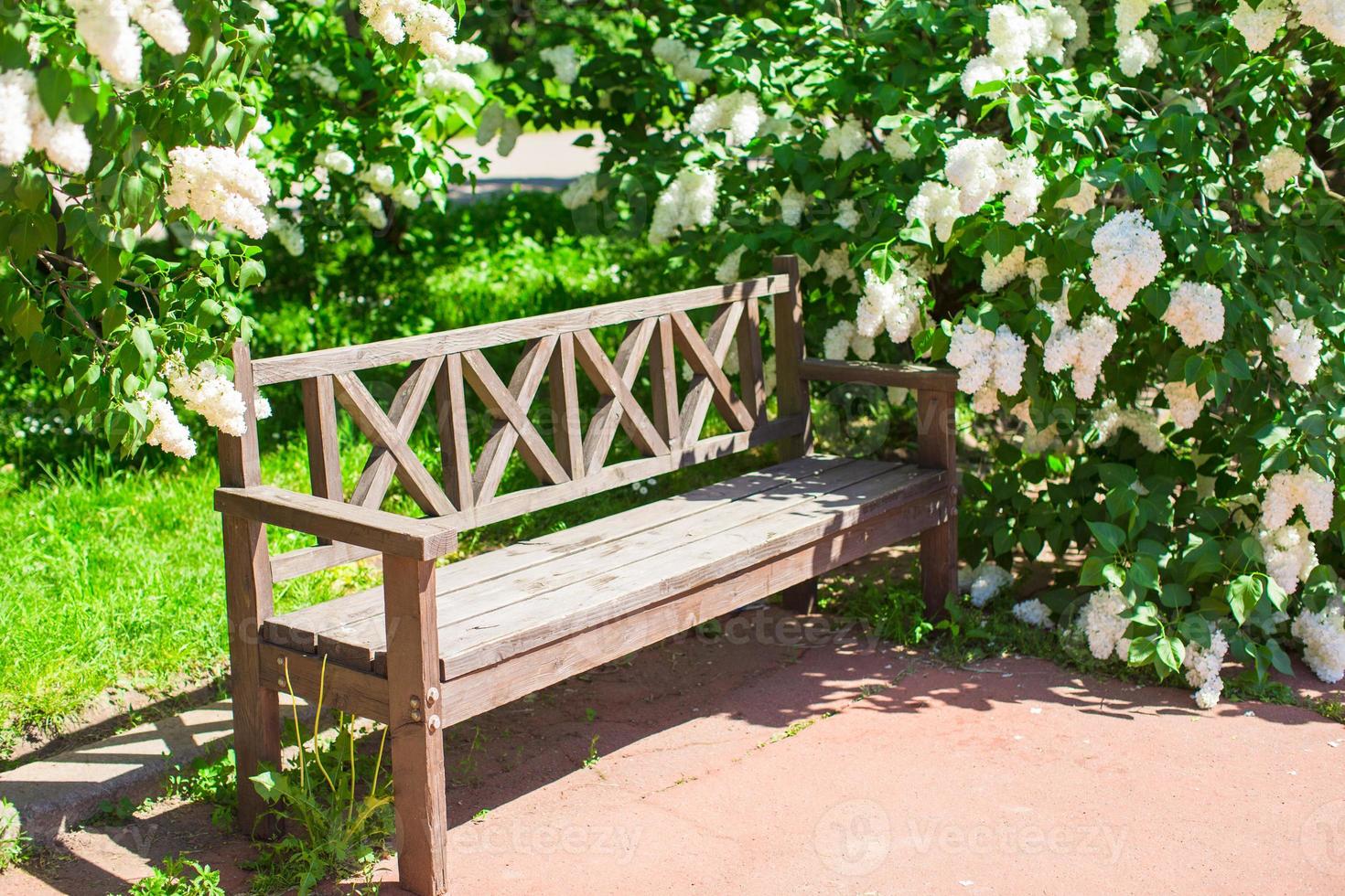 parc vue avec en bois banc photo