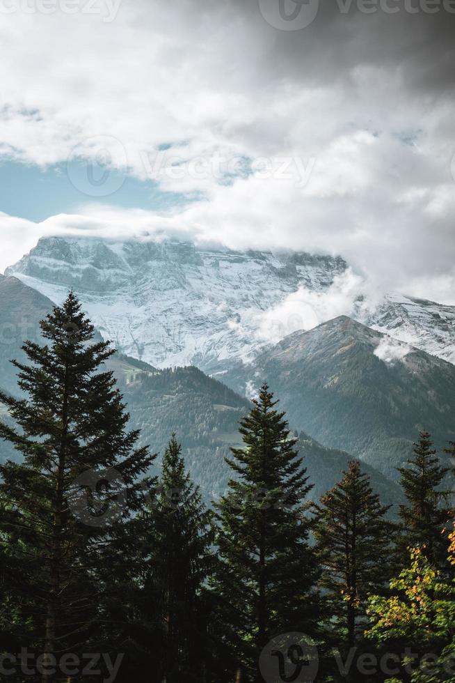 majestueux Montagne paysage dans le français Alpes Contexte panorama photo