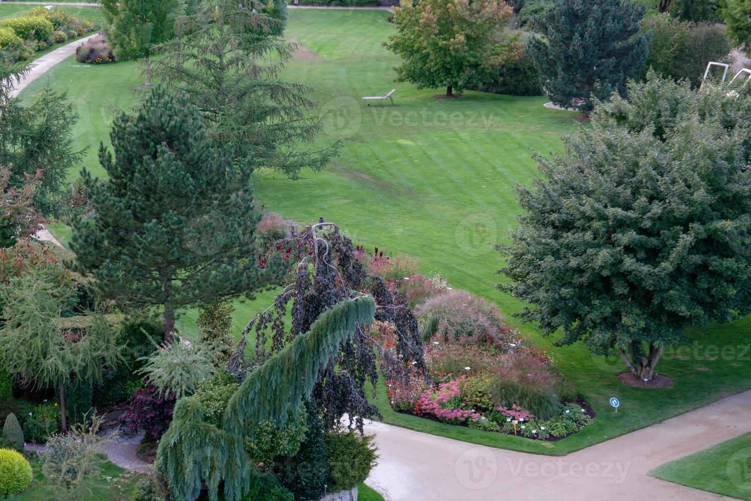 heure d'été dans le jardin photo