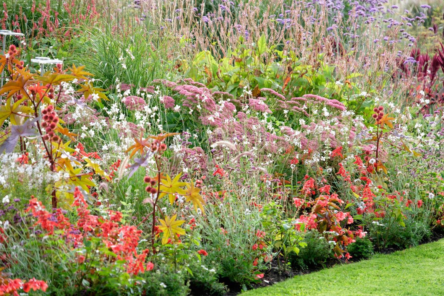 heure d'été dans le jardin photo