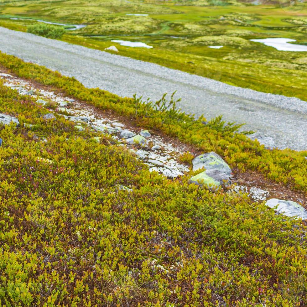 belle montagne et paysage nature panorama parc national de rondane norvège. photo