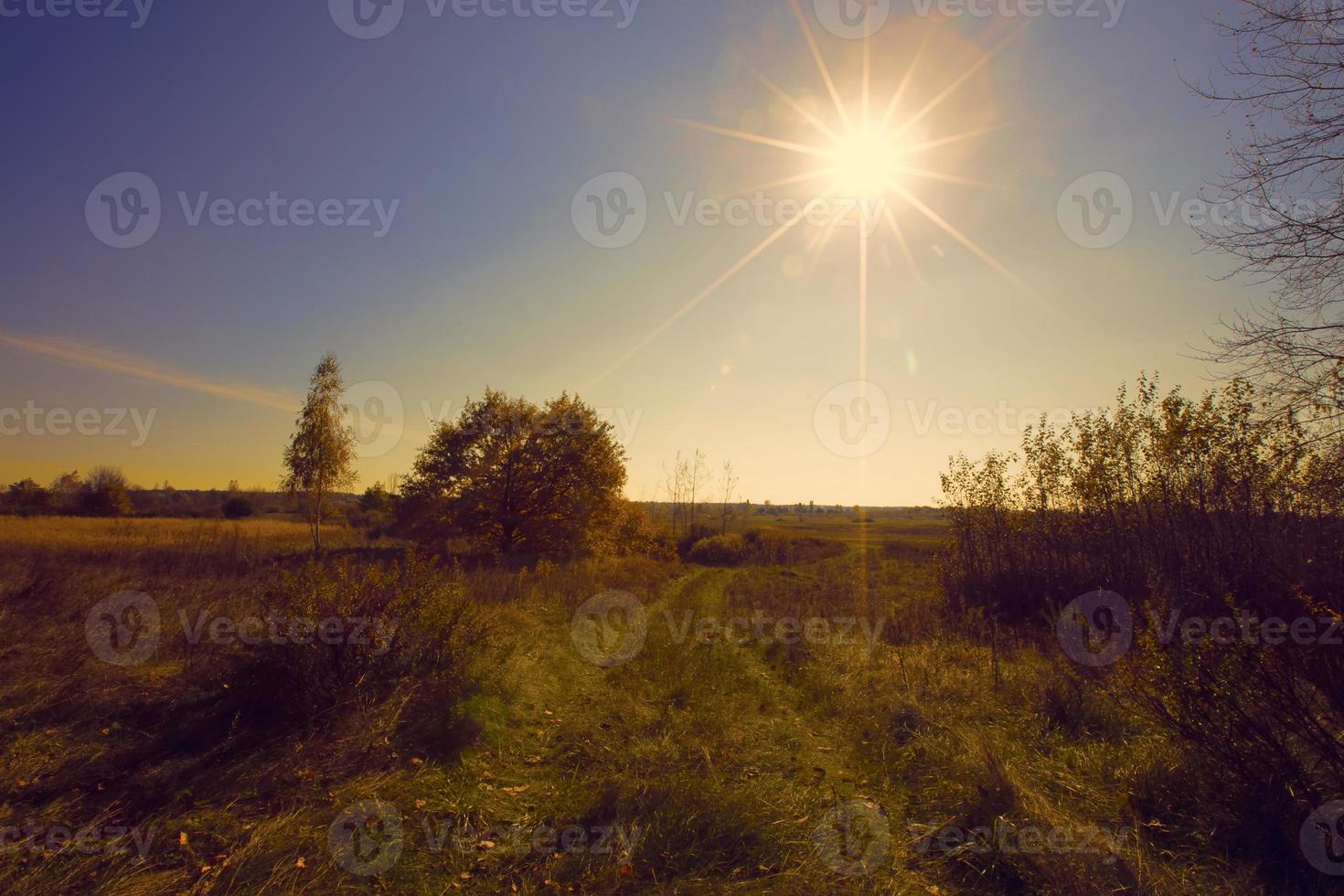 le réglage Soleil contre le Contexte de le route et des arbres. photo