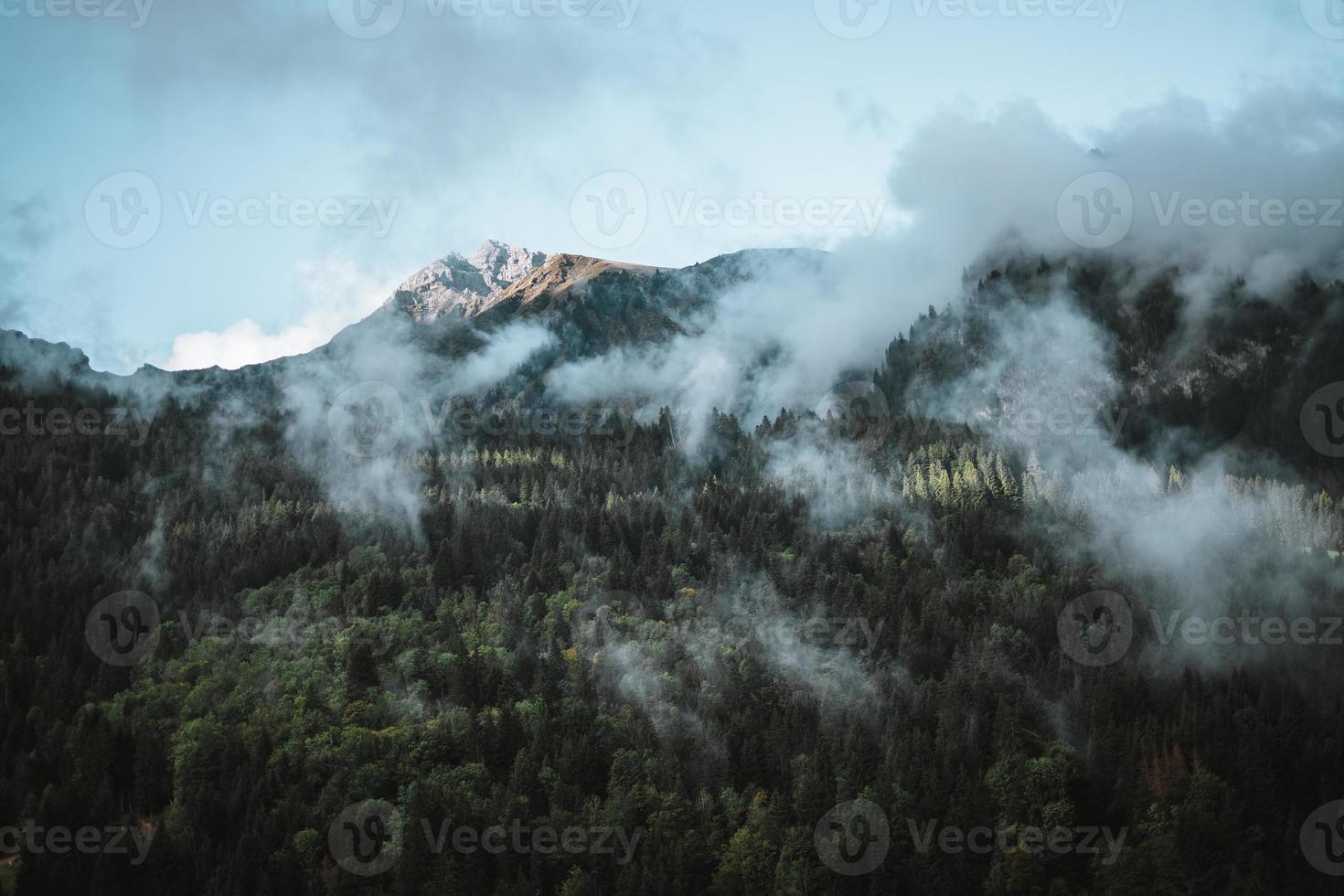 majestueux montagnes dans le Alpes couvert avec des arbres et des nuages photo