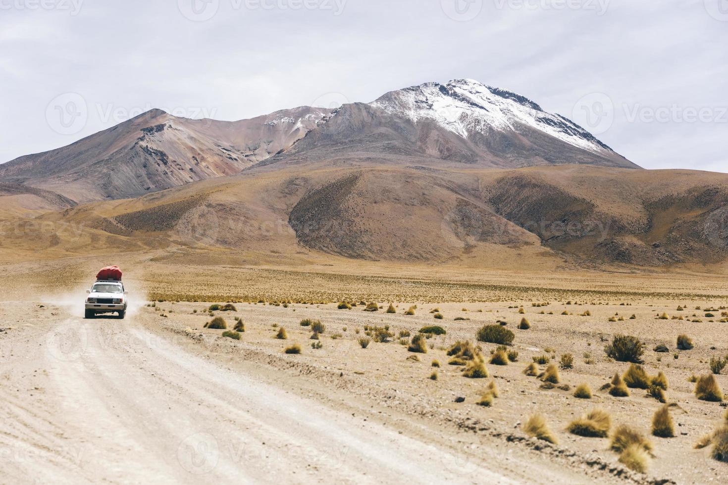 Désert de Dali en Bolivie photo