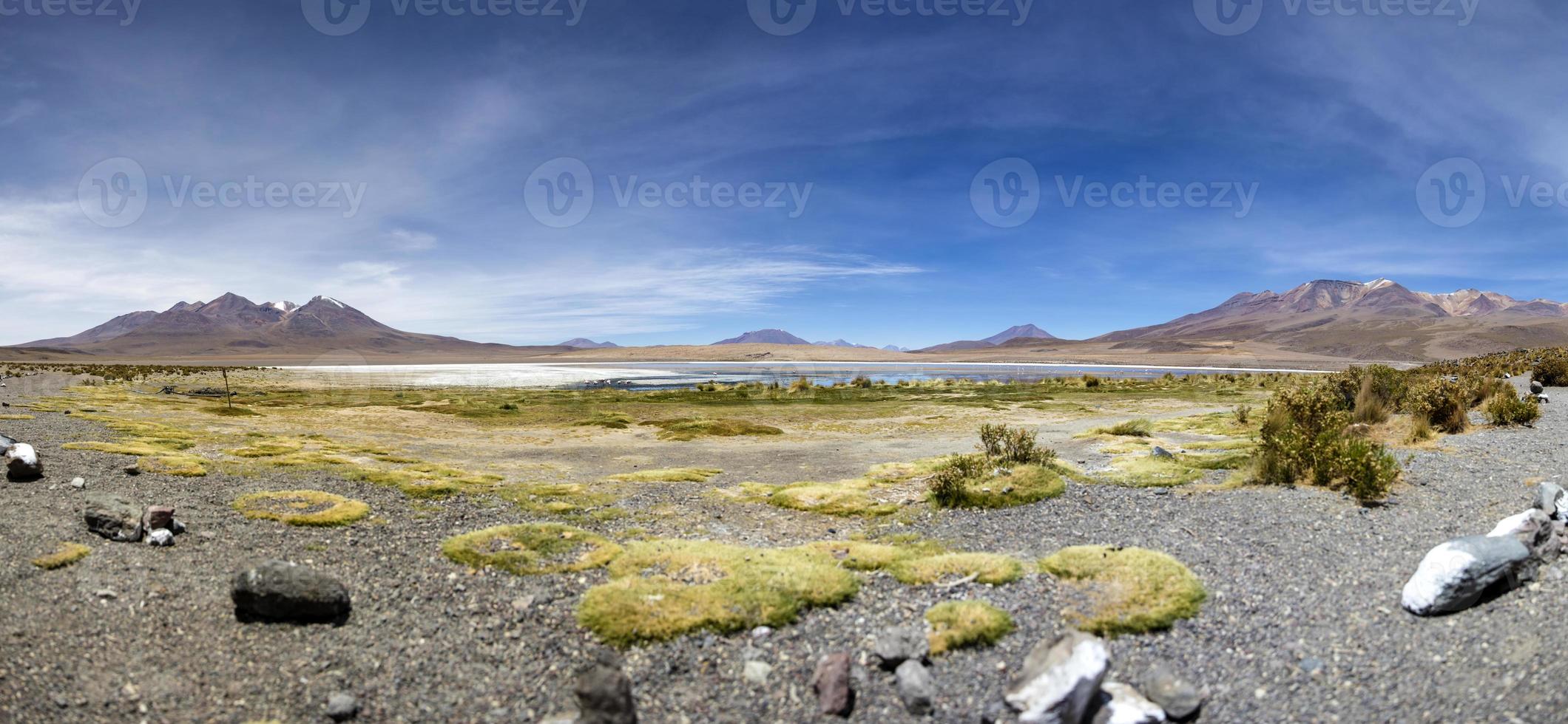 Laguna colorada en bolivie photo