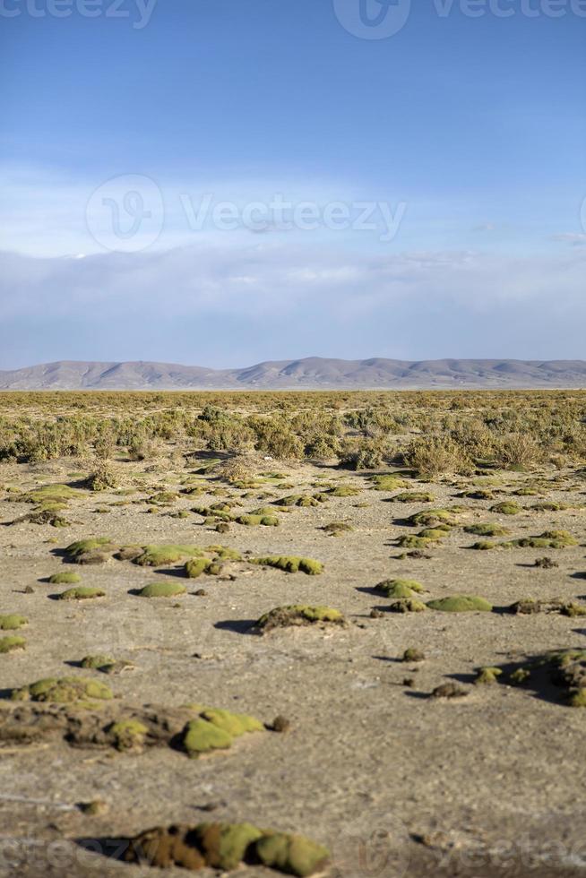 Désert de Dali en Bolivie photo