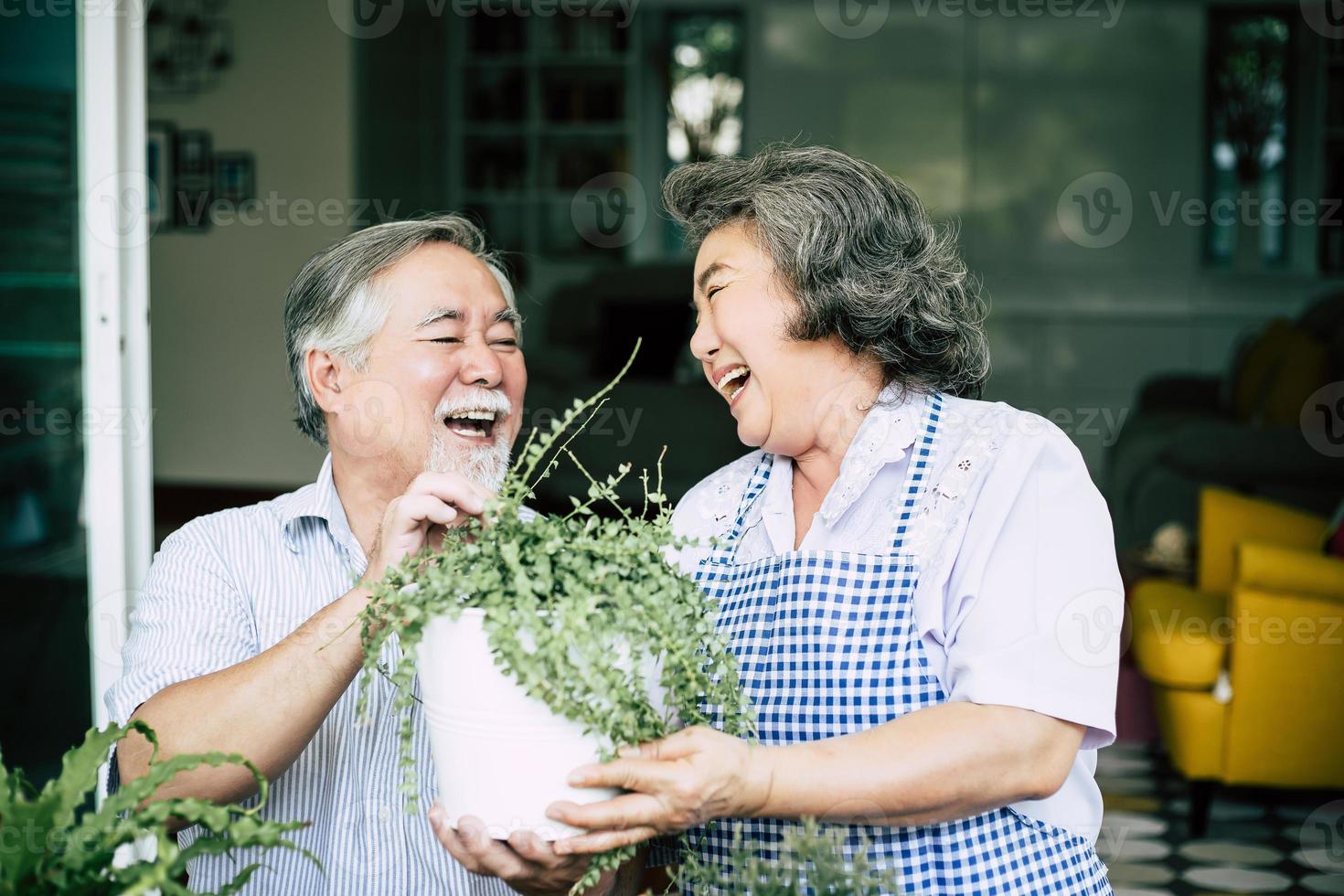 Couple de personnes âgées parler ensemble et planter des arbres dans des pots photo