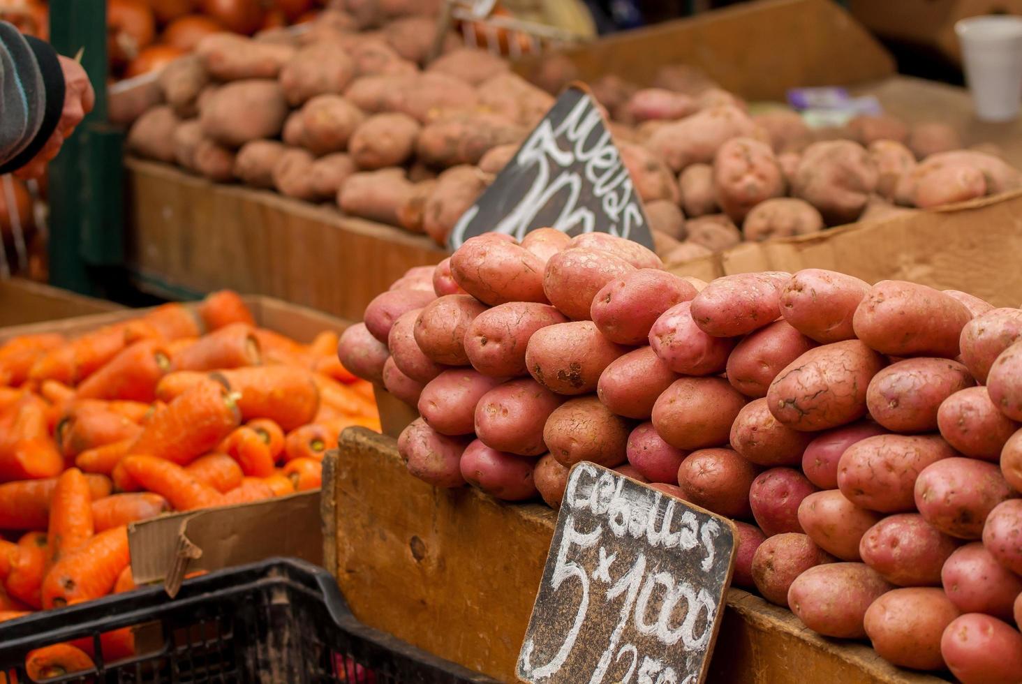 légumes au marché photo