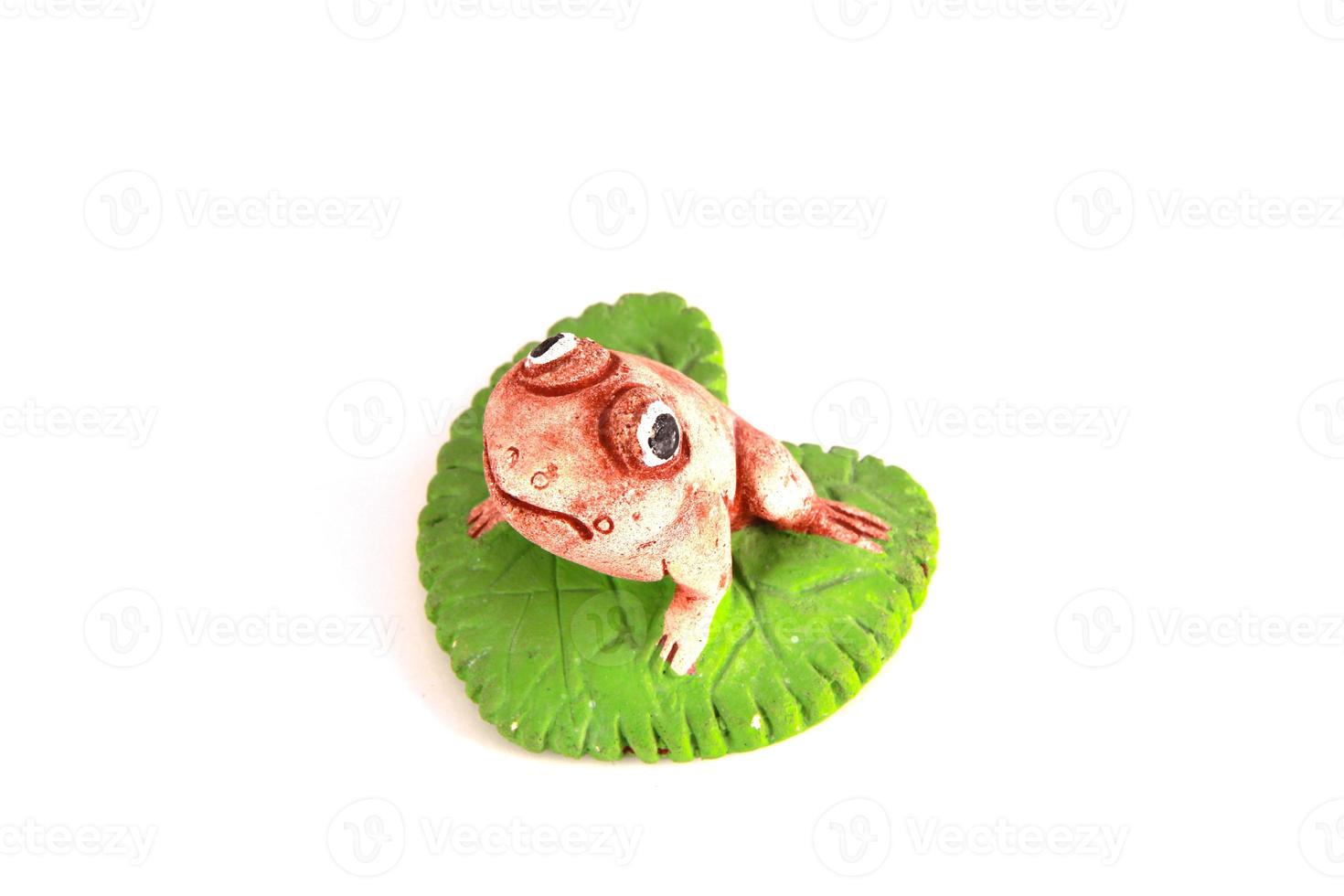 grenouille sur une feuille de lotus photo