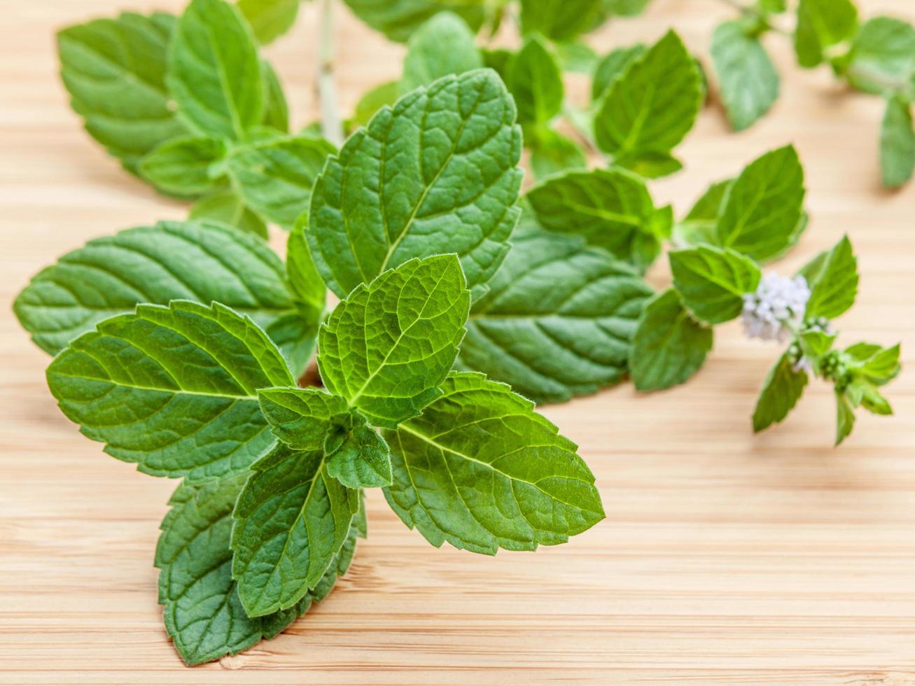 feuilles de menthe sur bois photo