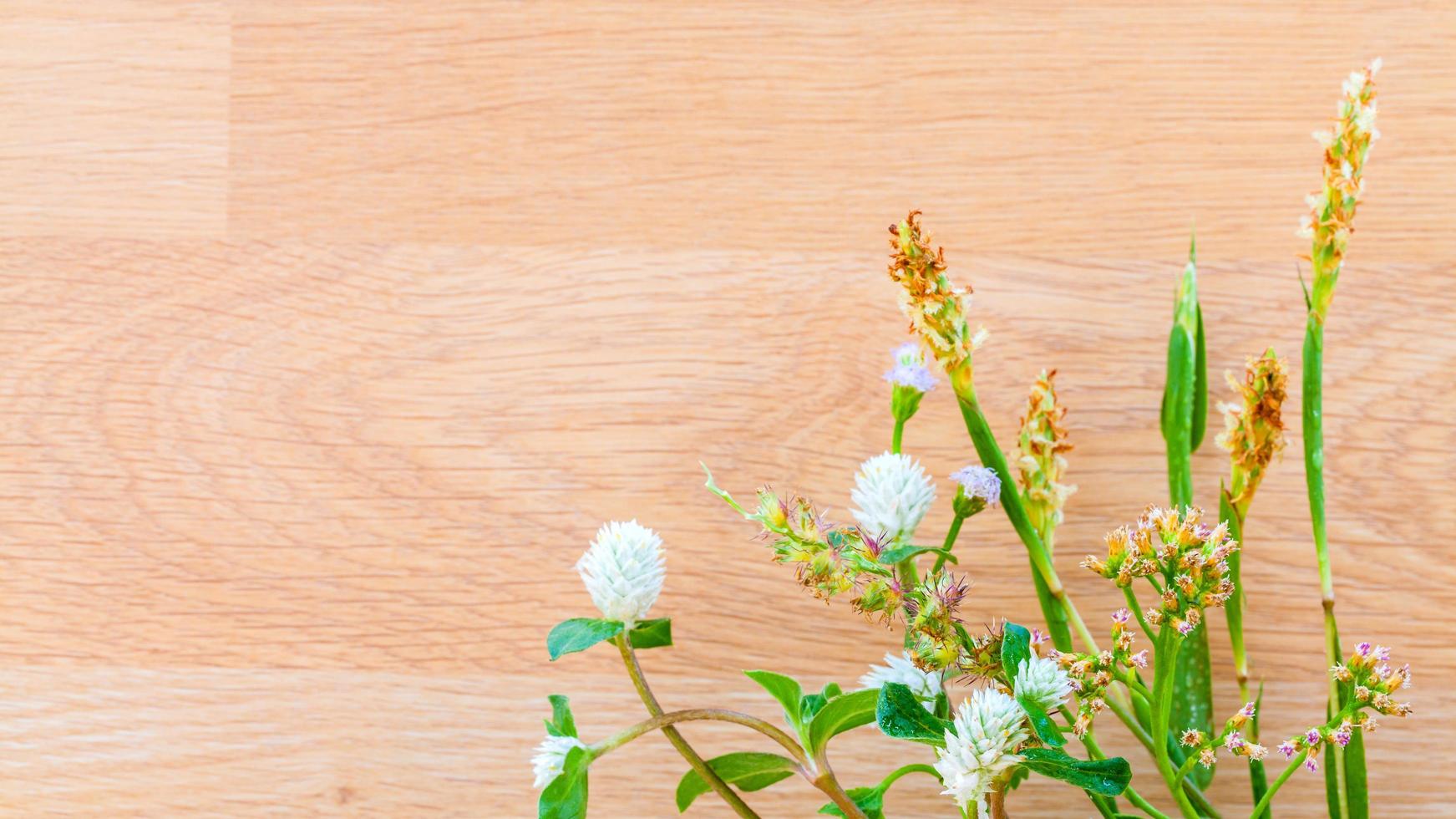 fleurs sauvages sur bois photo