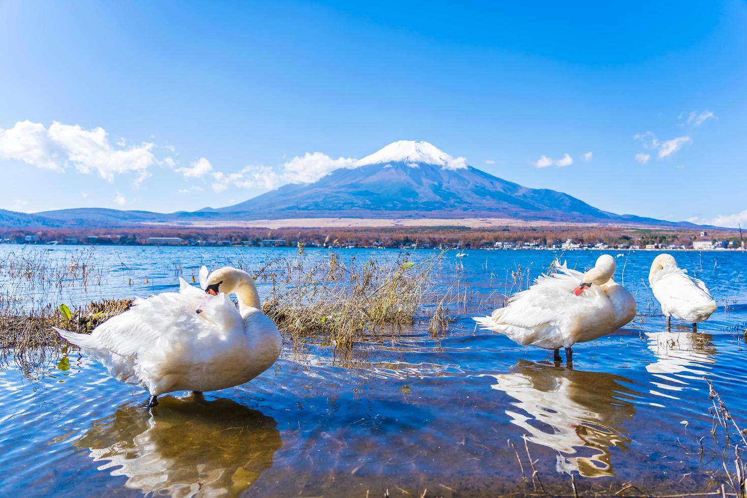 belle vue sur le mt. Fuji du lac Yamanakako, Japon photo