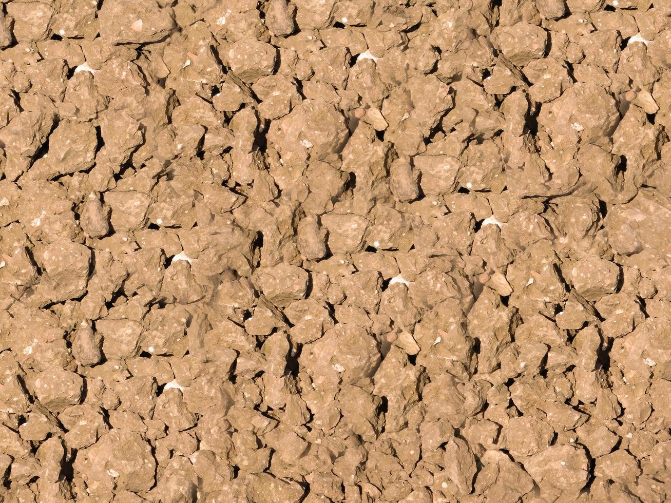 Patch de sol sec et craquelé pour le fond ou la texture photo