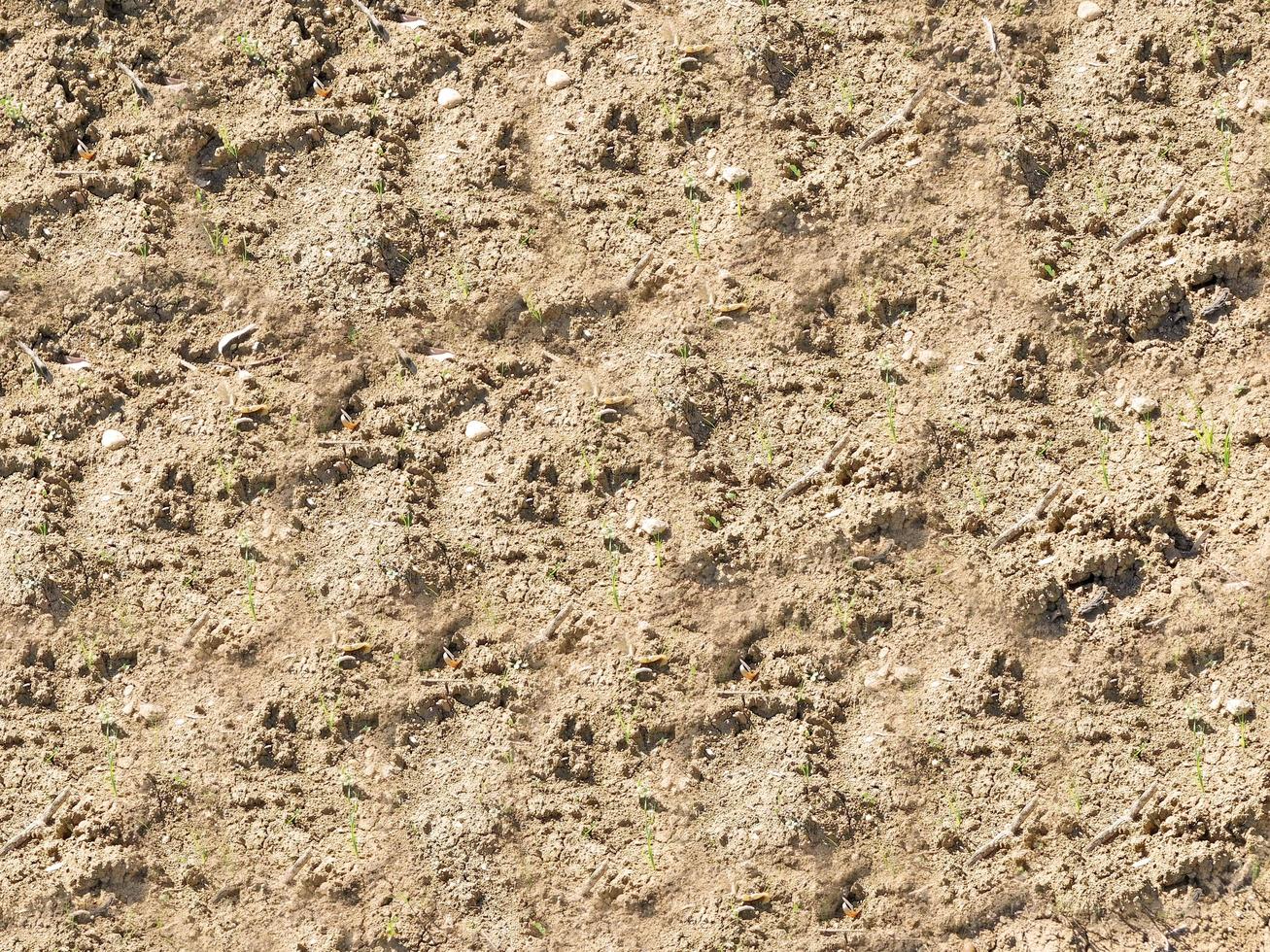 patch de sol sec pour le fond ou la texture photo