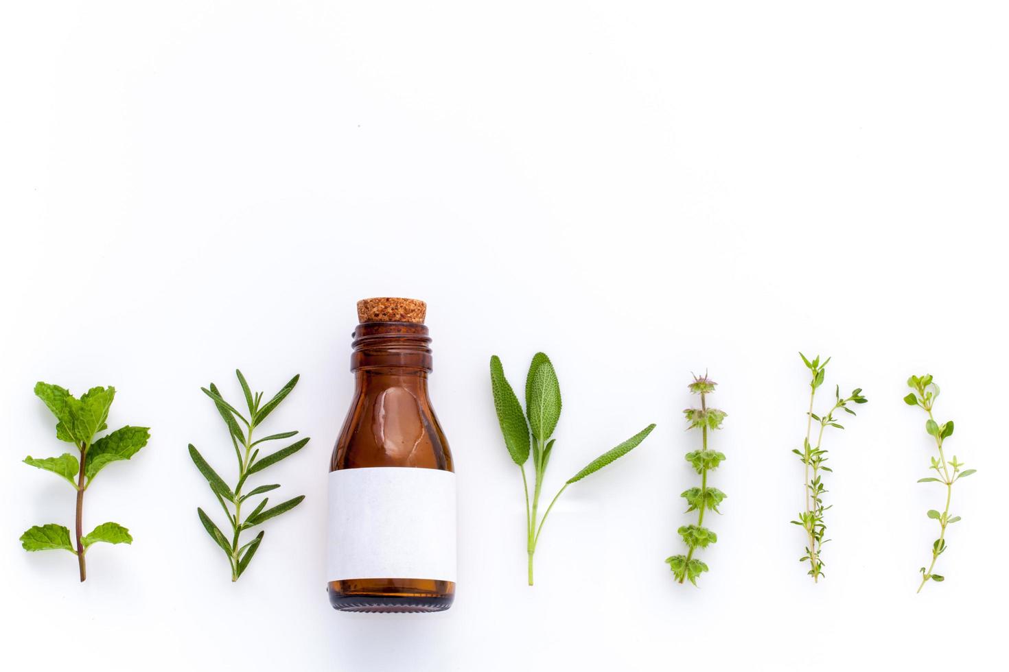 herbes fraîches et une bouteille d'huile essentielle photo